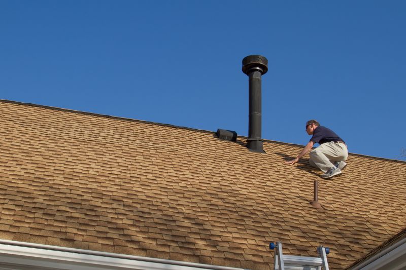 Professional Roof Maintenance